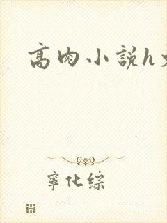 高肉小说h文