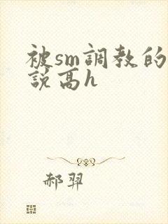 被sm调教的小说高h