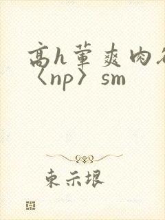 高h荤爽肉欲文〈np〉sm封面