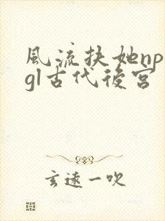 风流扶她np肉gl古代后宫