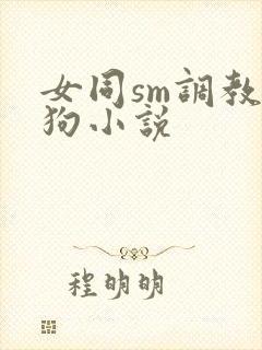 女同sm调教母狗小说封面