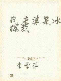 我老婆是冰山女总裁封面