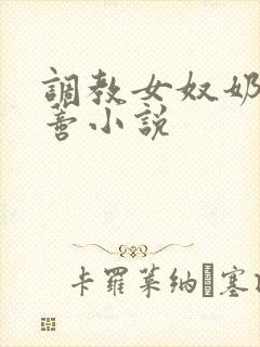 调教女奴奶头阴蒂小说封面