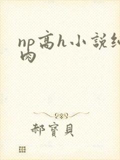 np高h小说纯肉