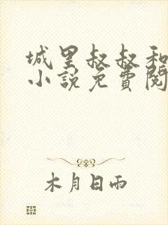 城里叔叔和侄女小说免费阅读全文