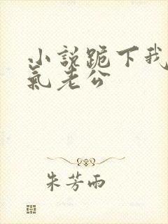 小说跪下我的霸气老公封面