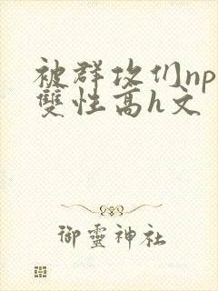 被群攻们np肉双性高h文封面