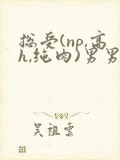 总受(np,高h,纯肉)男男