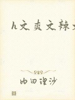 h文爽文辣文