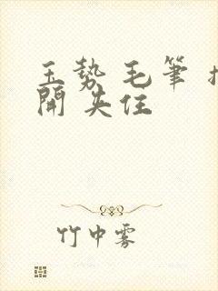 玉势 毛笔 撑开 夹住