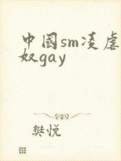 中国sm凌虐男奴gay