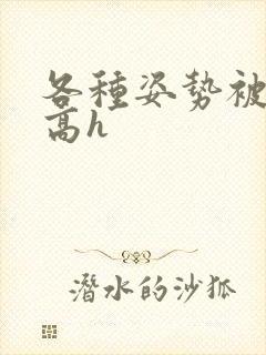 各种姿势被np高h