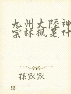 九州大陆神霄剑宗林枫是什么小说封面