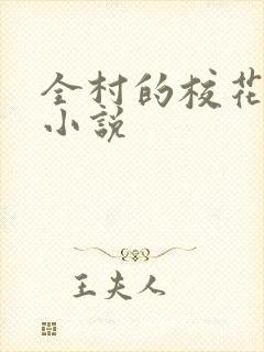 全村的校花妹妹小说封面