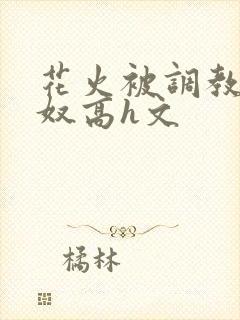 花火被调教成肉奴高h文