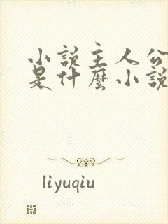 小说主人公叶玄是什么小说名