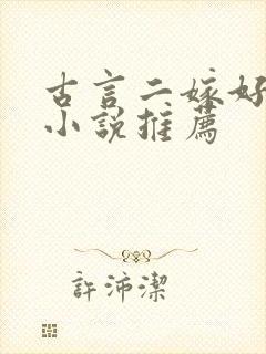 古言二嫁好看的小说推荐