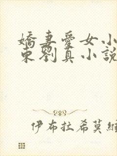 娇妻爱女小可于东刘真小说封面