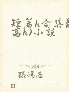 短篇h合集乱(高h)小说