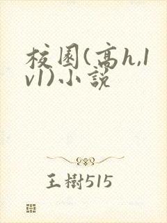 校园(高h,1v1)小说