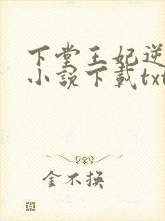 下堂王妃逆袭记小说下载txt