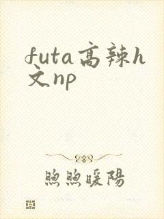 futa高辣h文np封面