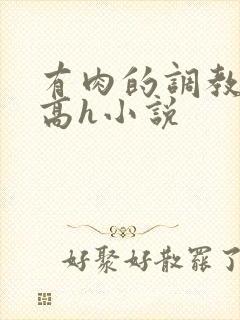 有肉的调教np高h小说