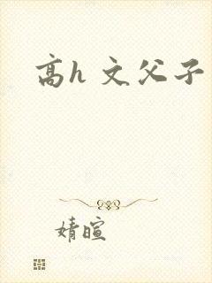 高h 文父子