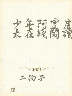 少年阿宾房东太太在线阅读