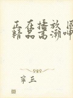 正在播放 国产精品高潮呻吟久久av 第一集