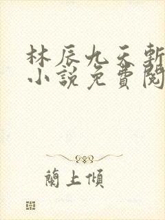 林辰九天斩神诀小说免费阅读