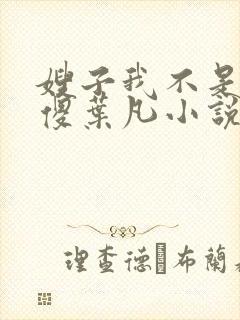 嫂子我不是真的傻叶凡小说免费阅读