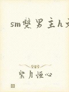 sm双男主h文封面