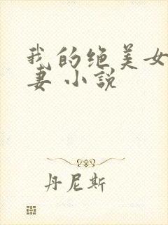 我的绝美女神娇妻 小说