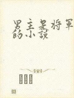 男主是将军姓萧的小说