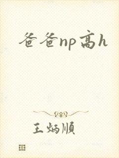 爸爸np高h封面