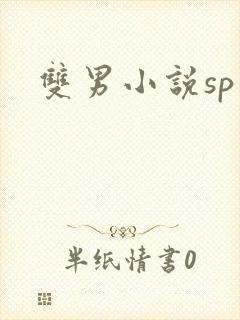 双男小说sp