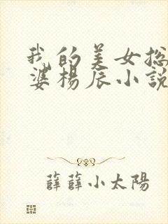 我的美女总裁老婆杨辰小说