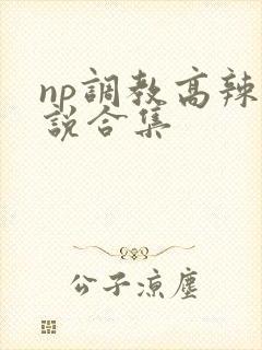 np调教高辣小说合集