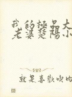 我的极品大小姐老婆楚阳小说阅读封面