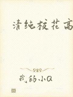 清纯校花高h文