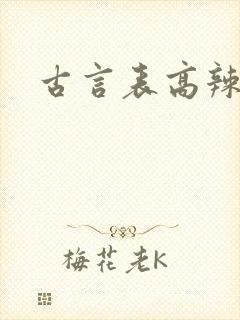 古言表高辣h文