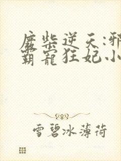 废柴逆天:邪王霸宠狂妃小说