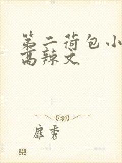 第二荷包小说网高辣文