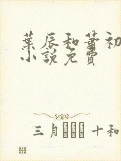 叶辰和萧初然的小说免费封面