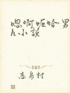 嗯啊呃哈男男高h小说