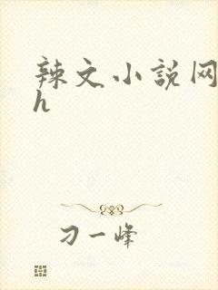 辣文小说网站高h