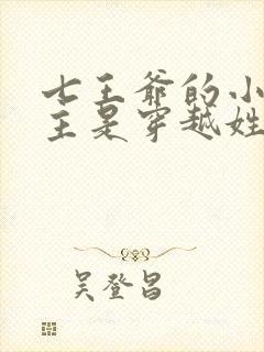 七王爷的小说女主是穿越姓苏封面