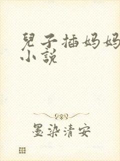 儿子插妈妈的逼小说