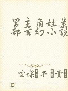 男主角姓叶的全部玄幻小说